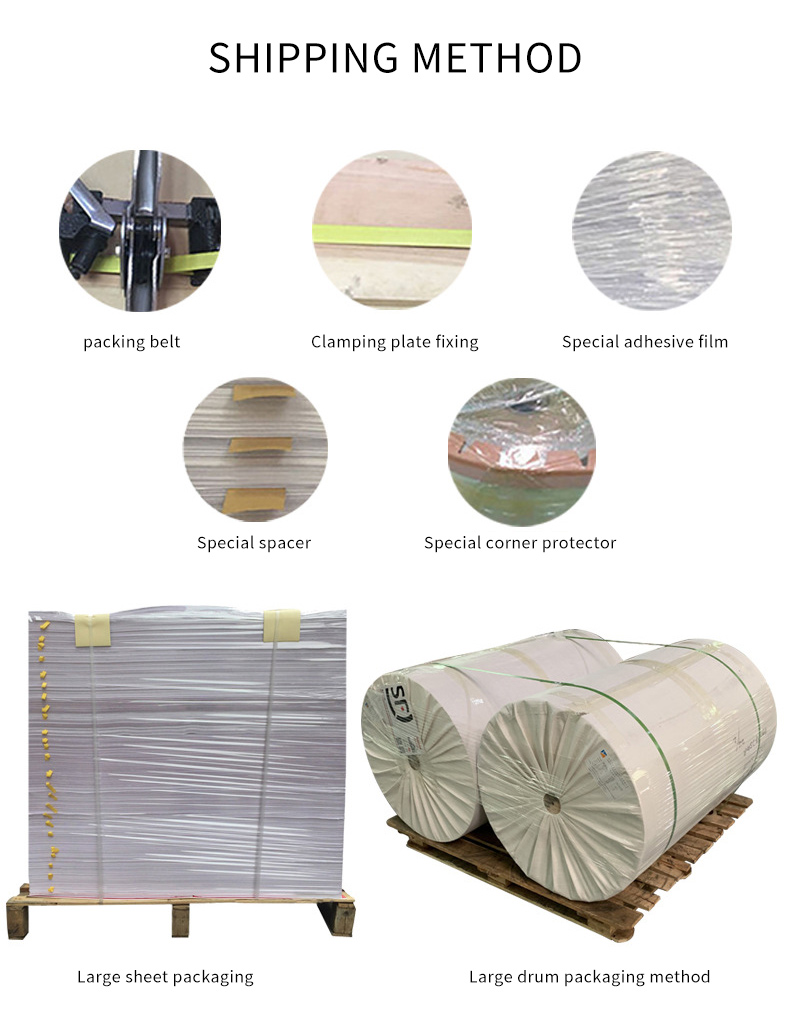 PE COATED PAPER