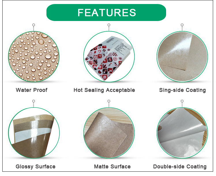 PE COATED PAPER